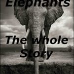Elephants The whole Story