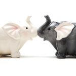 1 X Ceramic Magnetic Salt and Pepper Shaker Set – Elephants They Kiss 8795 by Pacific Trading