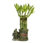 Small Lucky Bamboo Arrangement Happy Elephant Favor unique from jmbamboo
