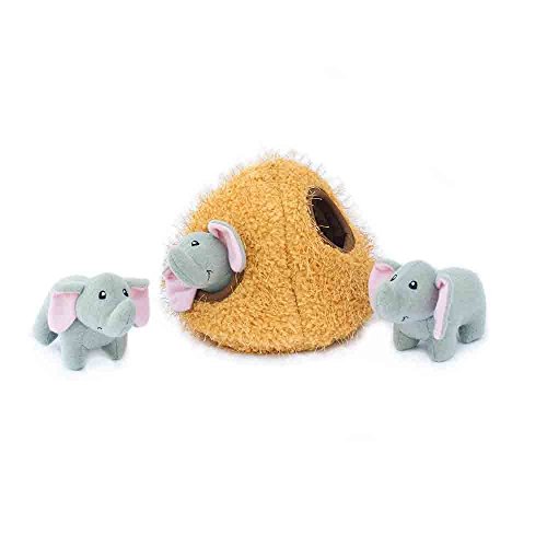 zippy paws hide and seek