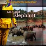 Nourished by the Same River – Man and Elephant