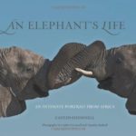 An Elephant’s Life: An Intimate Portrait from Africa