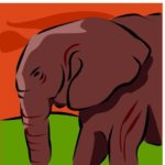 Elephant Clip Art & Stock Photo Image CD