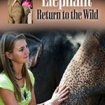 Elephant: Return to the Wild