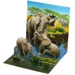 3D Pop-Up Greeting Card Animal Themes w/ Mailing Envelope– Top Quality Pop Out 3D Greeting Card- Impressive, Vibrant Color Popup Card: The Most Amazing Gift (1 Pack, African Elephant)