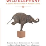 How to Train a Wild Elephant: And Other Adventures in Mindfulness