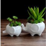 Ceramic White Elegant Modern Life Natural Style Flower Pot for Indoor and Outdoor Decorative, Elephant Design Set of 2