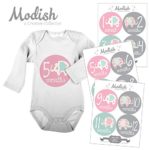 Modish – Creative Collective 12 Monthly Baby Stickers, Elephants, Baby Girl, Elephant Baby Belly Stickers, Elephant Monthly Onesie Stickers, First Year Stickers Months 1-12, Pink/Grey/Teal