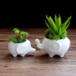 Wish you have a nice day Set of 2 Cute Elephant Flower Pot,Modern White Ceramic Succulent Planter Pots / Tiny Flower Plant Containers (elephant)