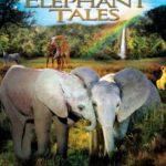 Elephant Tales