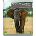 Gift Republic Ltd Adopt An Elephant Gift Box