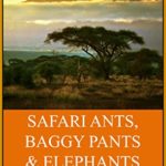 Safari Ants, Baggy Pants And Elephants: A Kenyan Odyssey