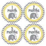 Months in Motion 382 Monthly Baby Stickers Gender Neutral Elephants Months 1-12