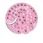 Bella Crystal Collection-USA Pink Elephant Hat Clip Set