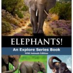 Elephants: Facts and Amazing Pictures of African, Asian and Baby Elephants (Explore Series: Wild Animal Edition)