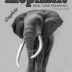 Elephant Real Time Drawing by Jasmina Susak