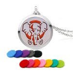 Stainless Steel Vintage Elephant Sphinx Amulet Aromatherapy Essential Oil Diffuser Perfume Pendant Necklace with 10 pads