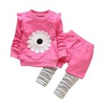 Vovotrade Toddler Kids Baby Girls Outfits Flower T-shirt Tops+Stripe Pants Clothes Set (12M, Hot Pink)