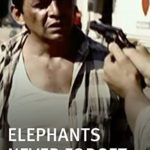 Elephants Never Forget