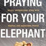Praying for Your Elephant: Boldly Approaching Jesus with Radical and Audacious Prayer