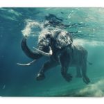 An elephant swimming underwater Mouse pad gaming mouse pad mice pad mouse pad the office mat Mousepad Nonslip Rubber Backing