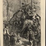 London Zoological Society Garden Tamed Elephant Riding 1871 nice antique print
