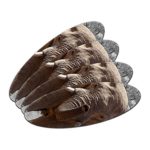 Africa African Elephant Double-Sided Oval Nail File Emery Board Set 4 Pack