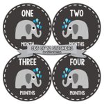 Months In Motion – Baby Month Stickers – Monthly Baby Sticker for Boys or Girls – Elephants (1084)