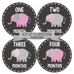 Months In Motion – Baby Month Stickers – Monthly Baby Sticker for Girls – Elephants (1094)
