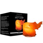 Evolution Salt – Elephant Crystal Himalayan Salt Lamp 6-8 lbs.