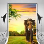 Photography Background Vinly 5x7ft Backdrop Studio Props A Tall Elephant And Animal Style Background