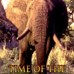 Time of the Elephants