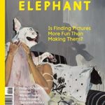 Elephant #17 (Elephant: The Art & Visual Culture Magazine)