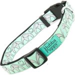 Hubba Puppy Elephant Hearts Nylon Dog Collar Adjustable for S M L/XL Pets Designer Pattern (Large/XL), Mint Green