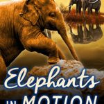Elephants in Motion