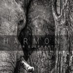 Harmony For Elephants: A Charity Album