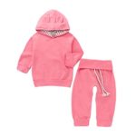 Toddler Baby Girls Boys 2Pcs Clothes Sets for 0-24 Months, Fashion Long Sleeve Hooded Cartoon Ear Tops Pants Outfits (0-6Months, Pink)