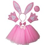 Kirei Sui Kids Animal Costume Ears Headband Bowtie Tail Tutu Paws Set