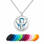 JewelryJo Aromatherapy Essential Oil Diffuser Necklace Women Men Elephant Locket Pendant with Refill Pads