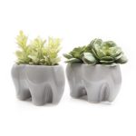 Chive – Elephant Shape Succulent and Cactus Planter Pot, 3″ Ceramic Air Plant, Flower and Plant Container, Cute Animal Mini Pot for Indoor / Outdoor Garden and Home Decor, Bulk Set of 2 (Grey)