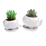 Pack of 2 Ceramic Planter Tiny Flower Plant Container Pot with Saucer Tray Home Office Desktop (Elephant)