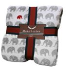 Northpoint Trading Inc. Manchester & All Souls Elephant Parade Printed 60X70 Velvet Throws
