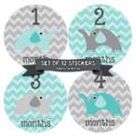 Months in Motion 030 Monthly Baby Stickers – Baby Boy – Elephants Months 1-12 – Milestone Sticker