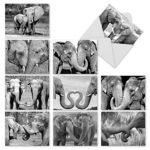 10 Elephant Note Cards with Envelopes, Blank ‘Trunks of Love’ Greeting Cards, All-Occasion Stationery Set for Weddings, Baby Showers, Sympathy, Birthdays (4″ x 5 ¼”) – NobleWorks #M2370OCBsl