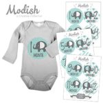 Modish – Creative Collective Baby Stickers, Elephants, Baby Boy, Elephant Baby Belly Stickers, Elephant Baby Month Stickers, First Year Stickers Months 1-12, Teal, Mint, Elephants, Boy, Grey