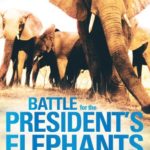 Battle for the President’s Elephants: Life, Lunacy and Elation in the African Bush