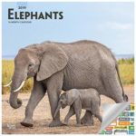 Elephants Calendar 2019 Set – Deluxe 2019 Elephants Wall Calendar with Over 100 Calendar Stickers (Elephants Gifts, Office Supplies)
