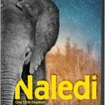 NATURE: Naledi: One Little Elephant DVD