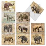 10 Assorted ‘Trunk Mail’ Thank You Greeting Cards (Mini 4” x 5 ¼”), All Occasion Cards with Envelopes, Elephants and World Maps Stationery Set for Weddings, Father’s Day, Thanksgiving #M9636TYG