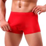 Jushye Hot Sale!!! 2018 Mens Boxer Briefs, Sexy Elephant Bulge Underwear Pouch T Lingerie Underpants Shorts (Red, XL)